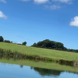 Meet your Posher, Addison